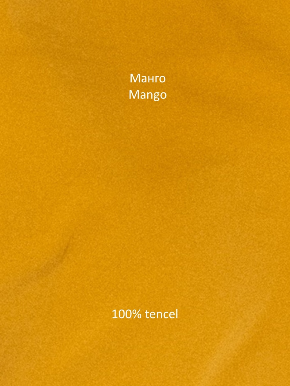 Брюки палаццо з кантом колір Манго 076. фото